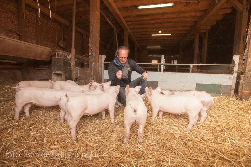 Herbert Dohrmann sitzt hockend im Stall und kümmert sich um mehrere Schweine