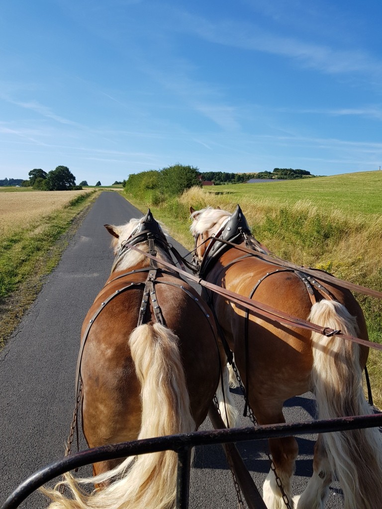 Kutsche wird von zwei Pferden auf einem Feldweg gezogen